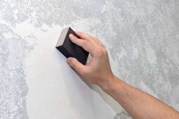 Trusted East Patchogue, NY Mold Removal Experts