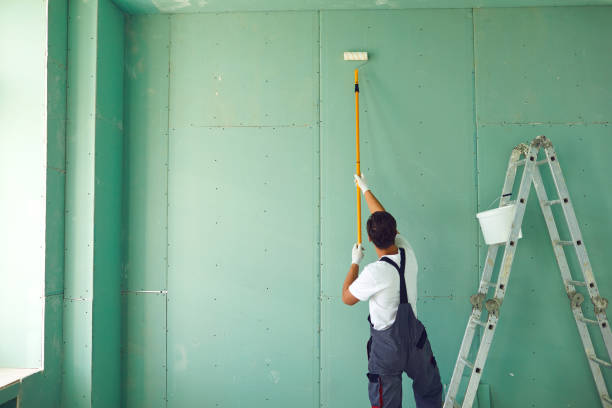 Best Mold Odor Removal Services  in East Patchogue, NY