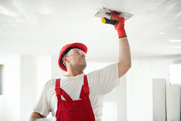 Best Mold Documentation for Insurance Claims  in East Patchogue, NY