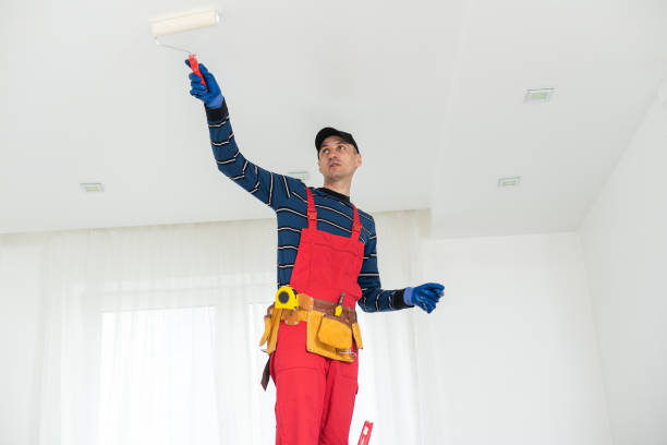 Best Basement Mold Removal  in East Patchogue, NY