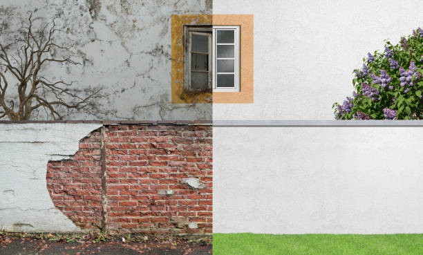 Best Environmental Consulting for Mold Prevention  in East Patchogue, NY
